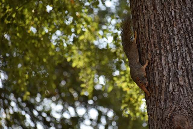 西媒：皇马多位球员复出，马斯坦托诺本轮联赛或直接首发