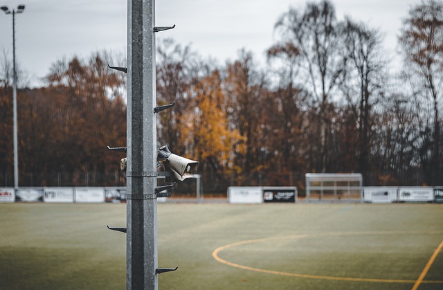 中俄古典式摔跤技术交流 七日切磋共促水平提升