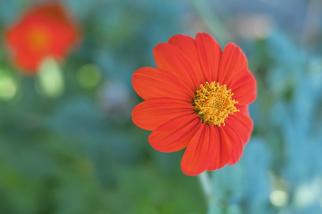 男双出战！国乒8-2力克法国取得混团六连胜