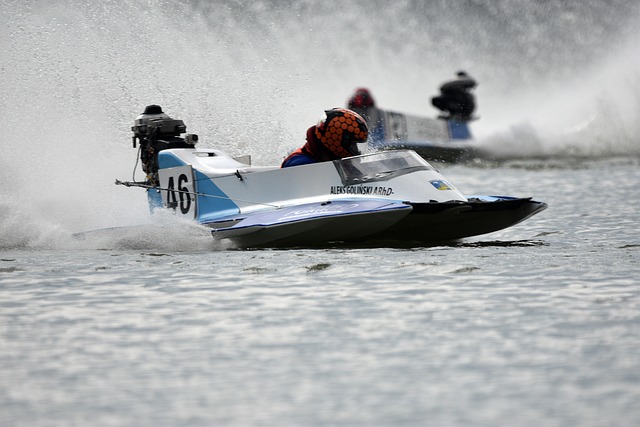 的出色发挥 的出色发挥